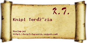 Knipl Terézia névjegykártya